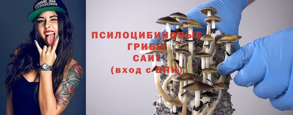 spice Каменногорск