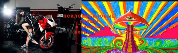 spice Каменногорск